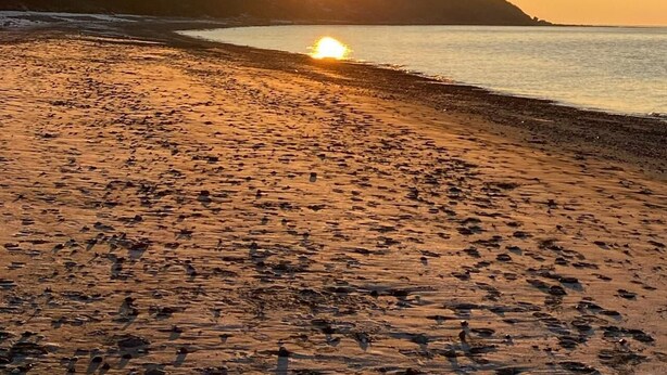 Une plage où le soleil se couche sur l’eau, une rive sablonneuse et, au loin, un paysage vallonné.