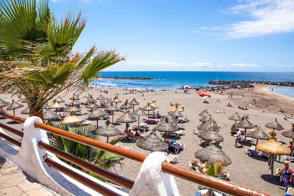 A beach with thatched umbrellas and palm trees, a clear sky, and a calm sea.