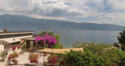 Hotel Lido