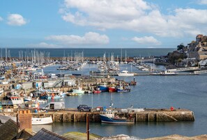 A marina with numerous boats docked, a pier, and a coastal town in the background.