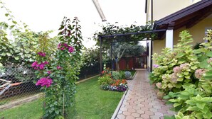 Un jardín con un sendero, una cerca de alambre y diversas plantas.