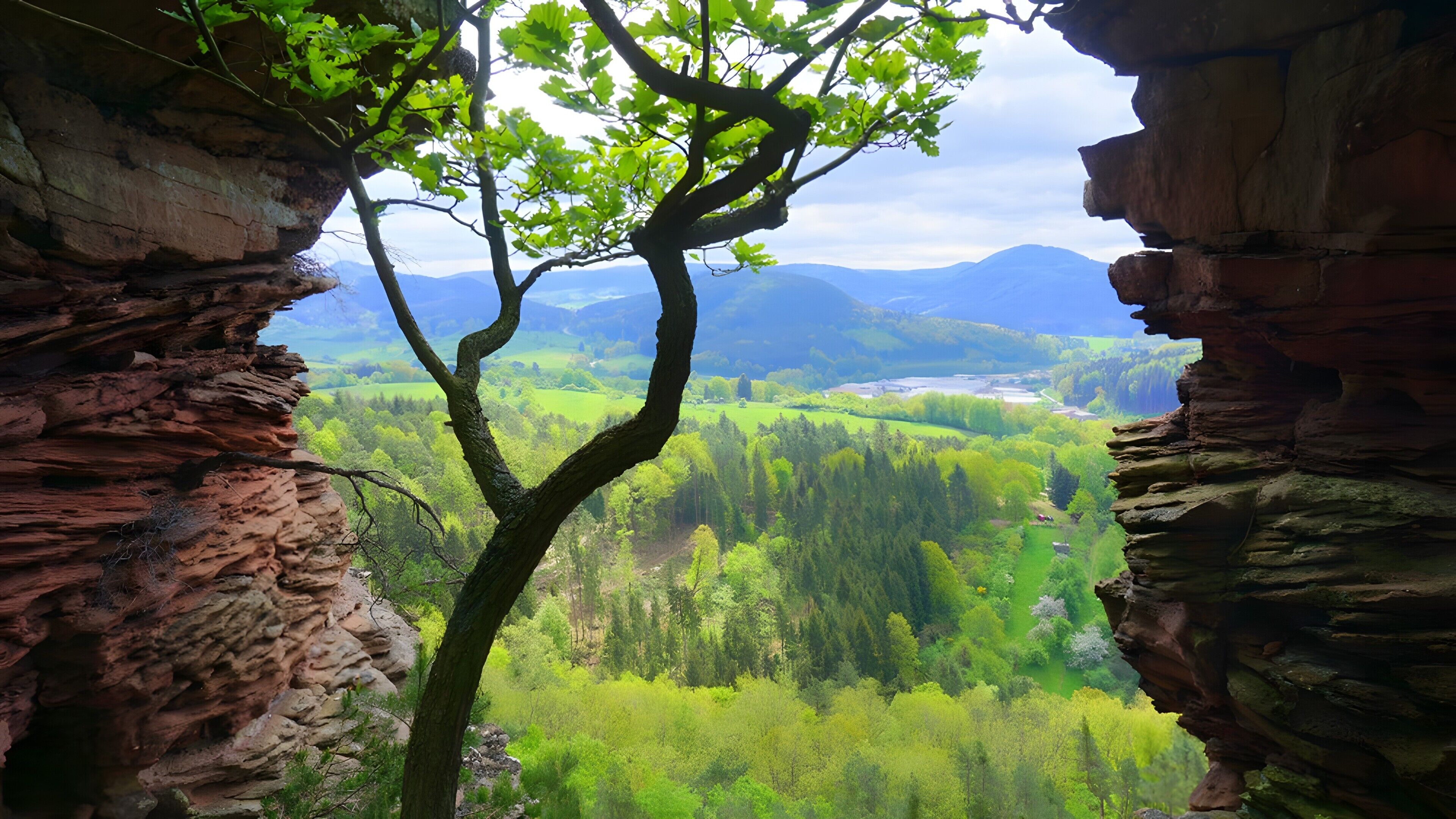 Uma árvore numa saliência rochosa com vista para um vale verde e montanhas.