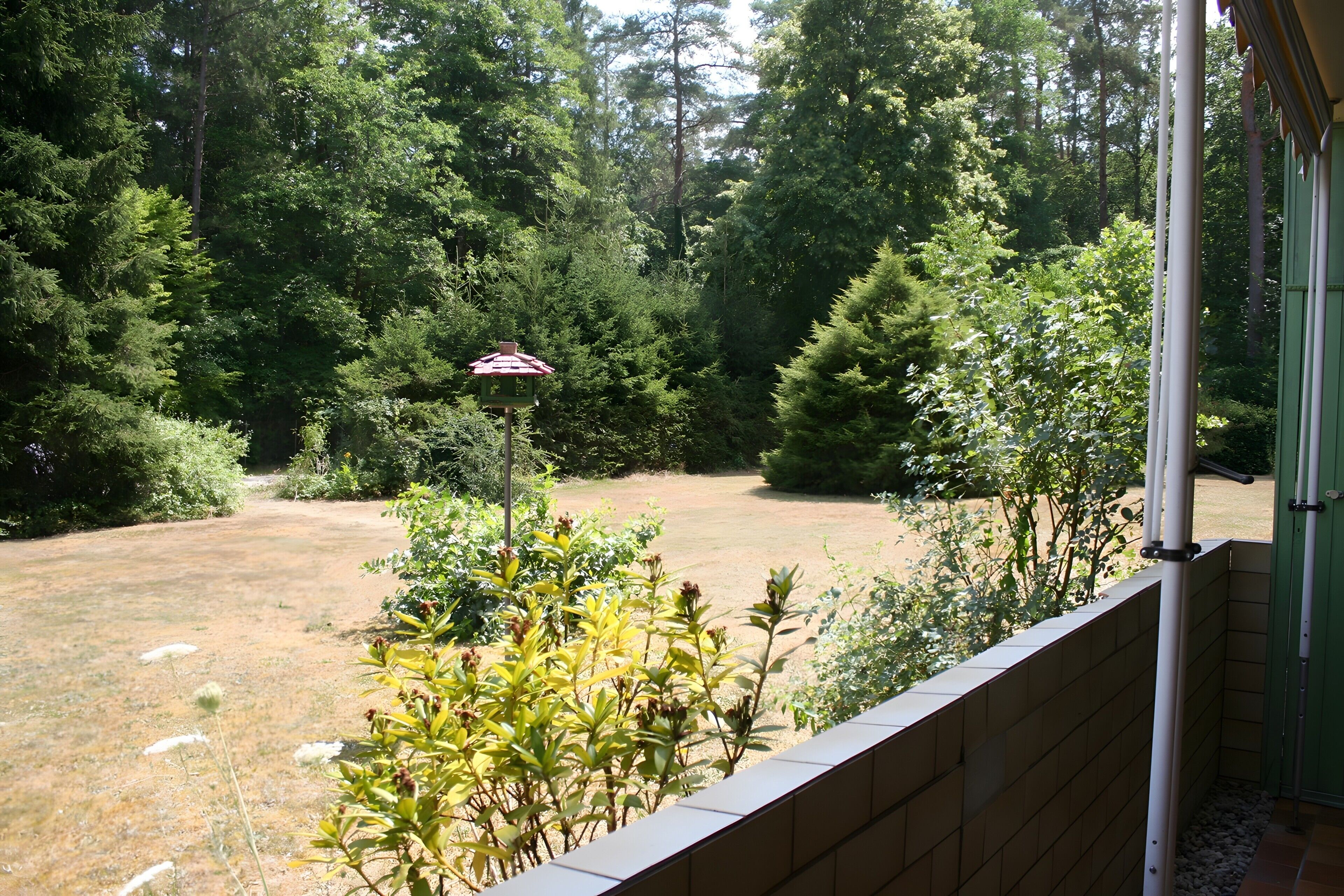 Blick auf einen Garten mit Vogelhaus, einer Ziegelmauer und einem dichten Baumwipfel im Hintergrund.