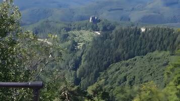 A mountainous landscape with dense forest, a clear sky, and a distant rocky outcrop.