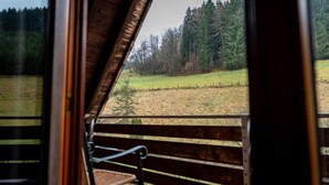 Eine Holzbank mit Metallgestell, mit Blick auf ein Wiesenfeld und einen bewaldeten Bereich.