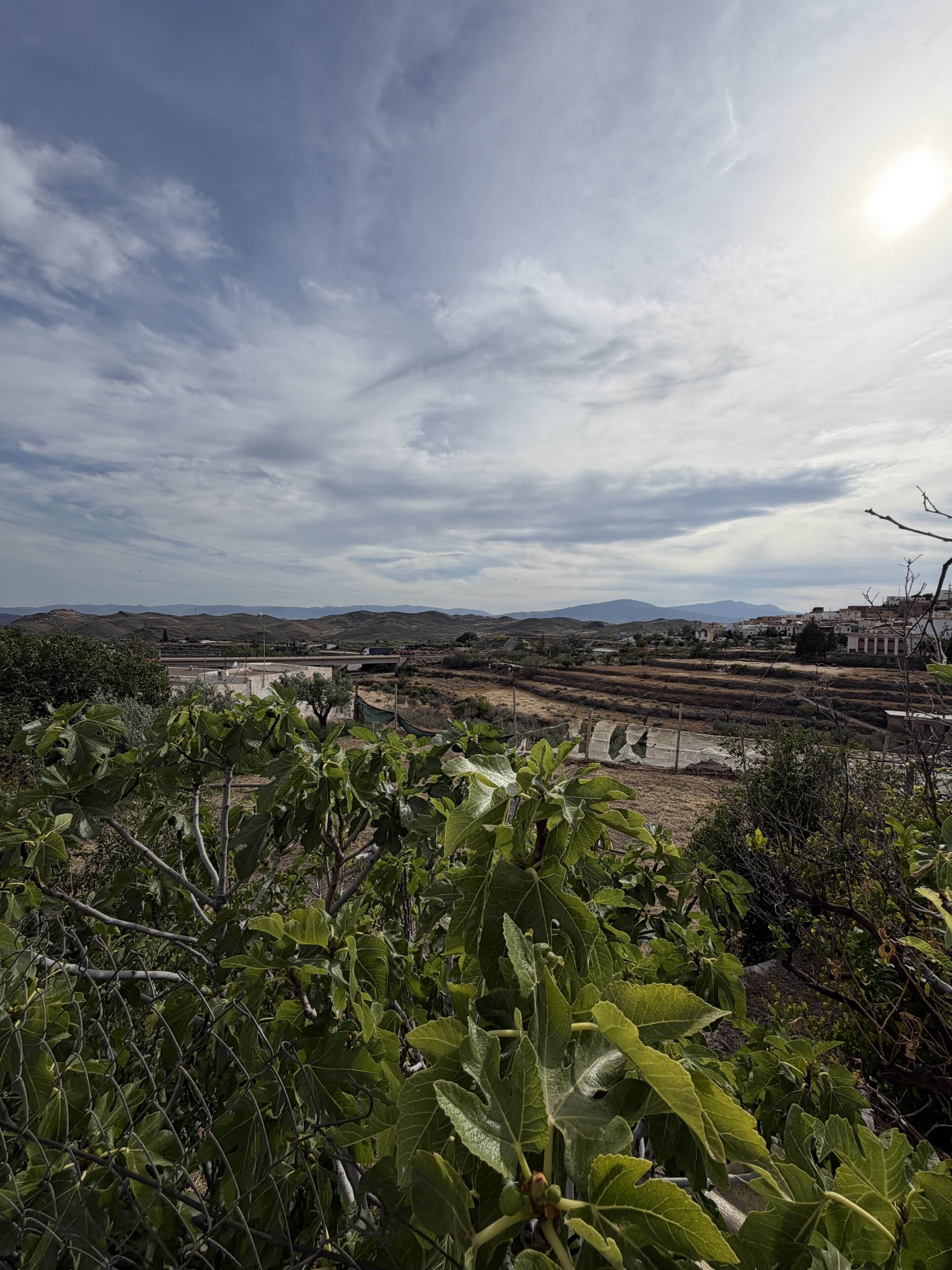 Un paysage rural avec des champs en terrasses, un ciel dégagé et une ville qui se profile à l’horizon.