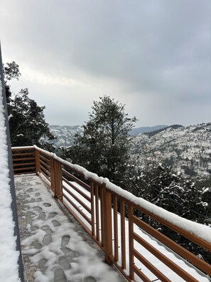 Property grounds - The Woodshed (Mukteshwar)