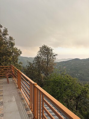 Property grounds - The Woodshed (Mukteshwar)
