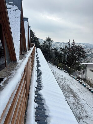 Property grounds - The Woodshed (Mukteshwar)