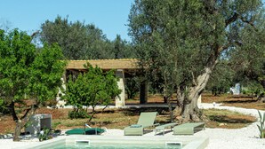 Ein Swimmingpool mit Liegestühlen, einer Pergola und Olivenbäumen.