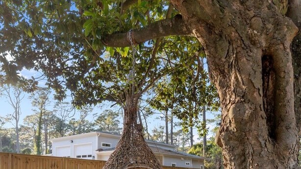 Un árbol con una mecedora de mimbre colgante.