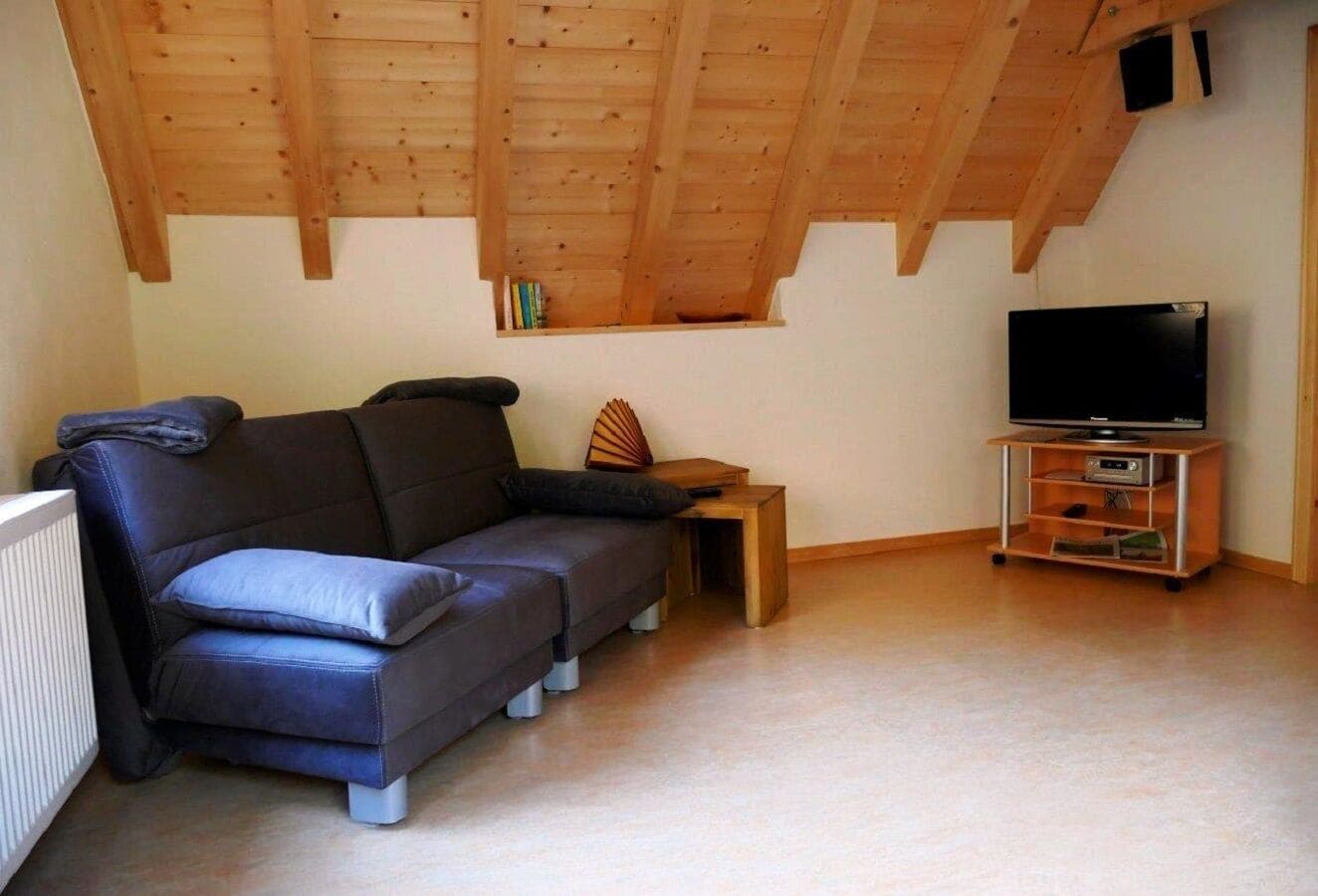 TV, books, stereo