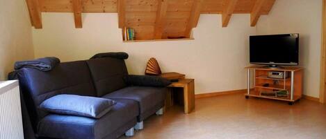 TV, books, stereo