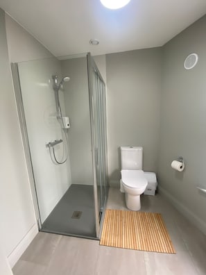 A modern bathroom with a glass-enclosed shower, a toilet, and a wooden mat on the floor.