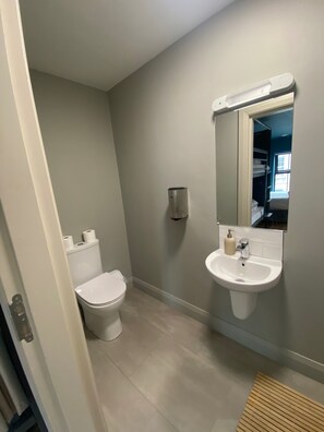 A bathroom with a toilet, sink, mirror, and a toilet paper holder. - Heyday Hostel (Ballina)