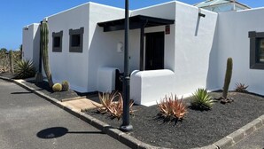 Ein modernes Gebäude mit weißer Fassade, einem schwarzen Laternenpfahl und verschiedenen Kakteen und Sukkulenten im Vordergrund.