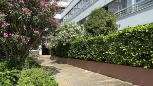 A pathway flanked by lush greenery and a building with large windows. - Charming studio with pool - 2 guests (La Grande-Motte)