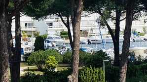 Ein Yachthafen mit vertäuten Booten, umgeben von Bäumen und Gebäuden.