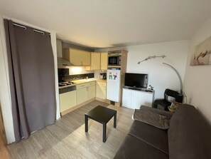 Fernseher