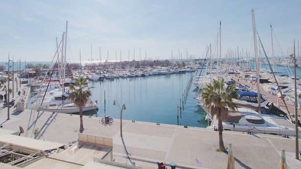 A marina with numerous boats docked, a clear sky, and a sunny day. - Apartment with AC, sea view, parking - 4 guests (La Grande-Motte)