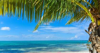 One Love Jones - Your Beachfront Retreat at Rum Point, a North Side Paradise