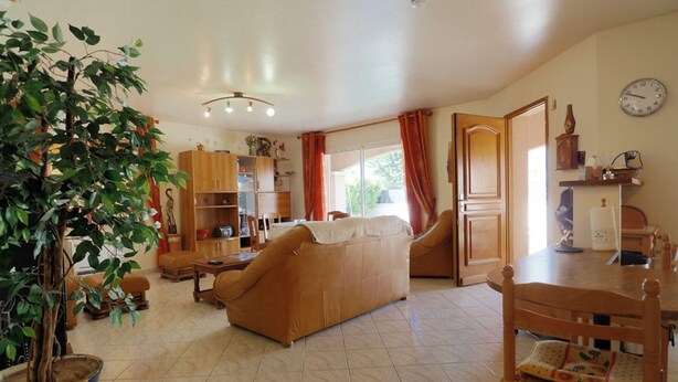 A living room with a sofa, a dining table, a chair, a potted plant, and a kitchen area with cabinets and a window.