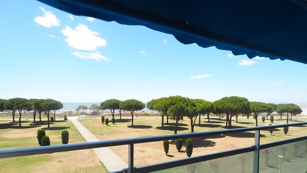 A view from a balcony with a railing, overlooking a park with neatly arranged trees and a clear sky. - Air-conditioned apartment, parking, sea view - 6 guests (Le Grau-du-Roi)