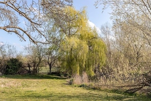 Un paysage naturel avec des arbres et un champ d’herbe.