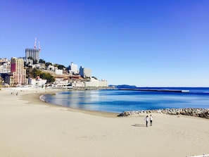 A beach with a cityscape in the background, including a prominent building with a red spire.