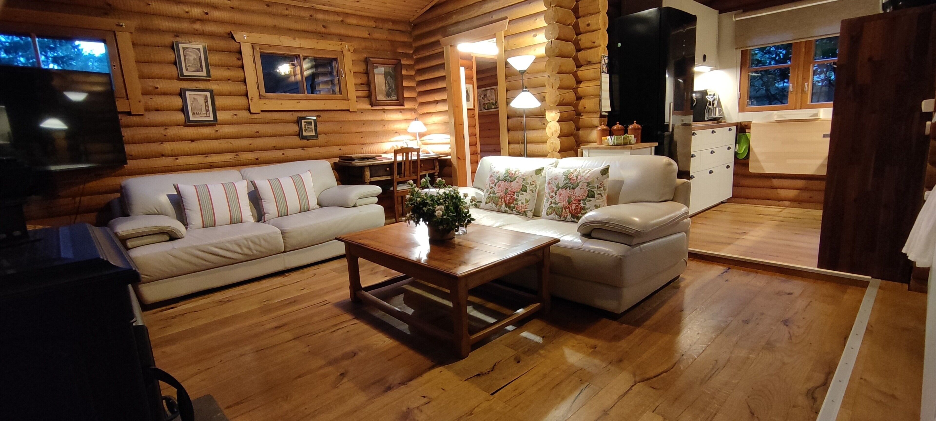 Fernseher, Kamin