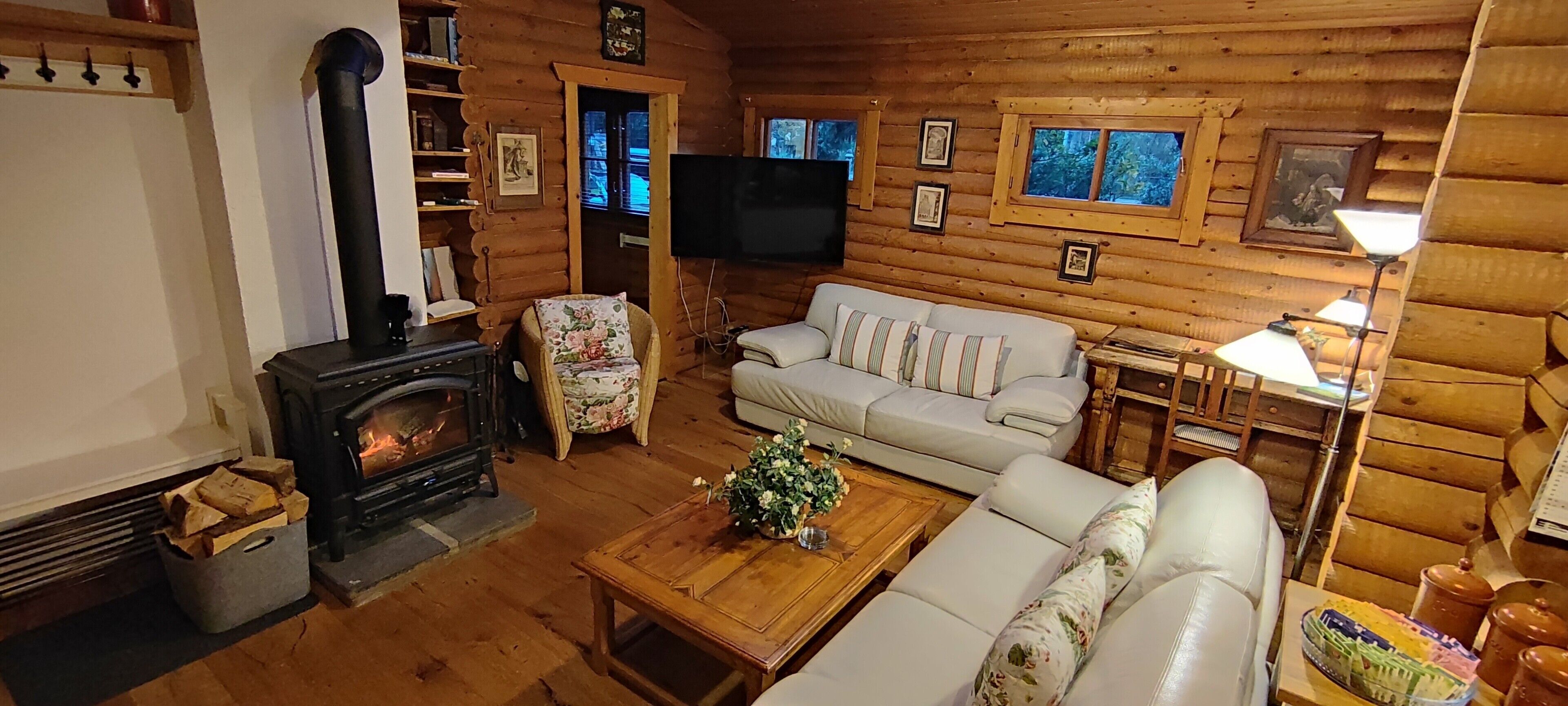 Fernseher, Kamin