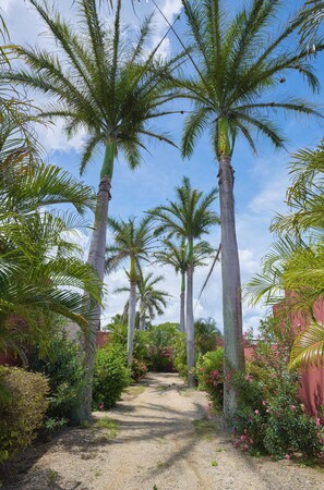 Property grounds - Villa Coco Chic- Private pool - Tropical garden (Pointe aux Piments)