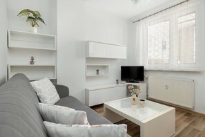Fernseher, Arbeitsbereiche