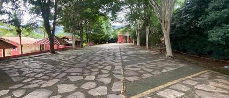 Un patio empedrado con baldosas de piedra y árboles que dan sombra.