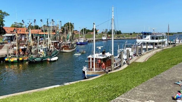Ein Yachthafen mit verschiedenen Schiffen, einer Rasenfläche und blauem Himmel.