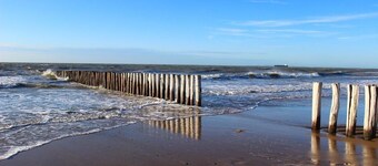 Zeeuwse Strandstee!