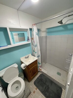Shower, towels, toilet paper - Perfect Studio in the heart of Isabel! Walkable to all the bars and restaurants (Vieques)