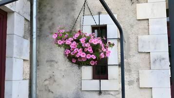 DĂ©tail de lâextĂ©rieur