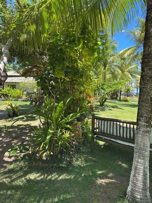 Property grounds - Beachfront Apartment on the Upper Floor: Best Value for Money (Maraú)