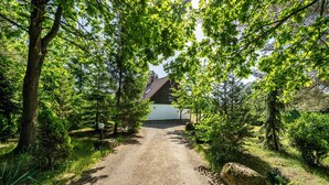 A gravel path leading to a rustic cabin surrounded by dense green trees.