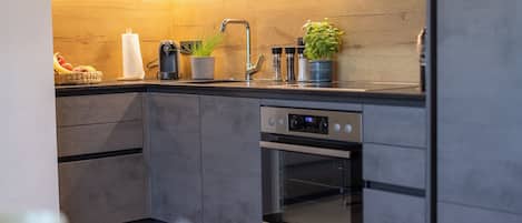Appartement Classique, balcon, vue montagne | Cuisine privée | Grand réfrigérateur, four, plaque de cuisson, lave-vaisselle