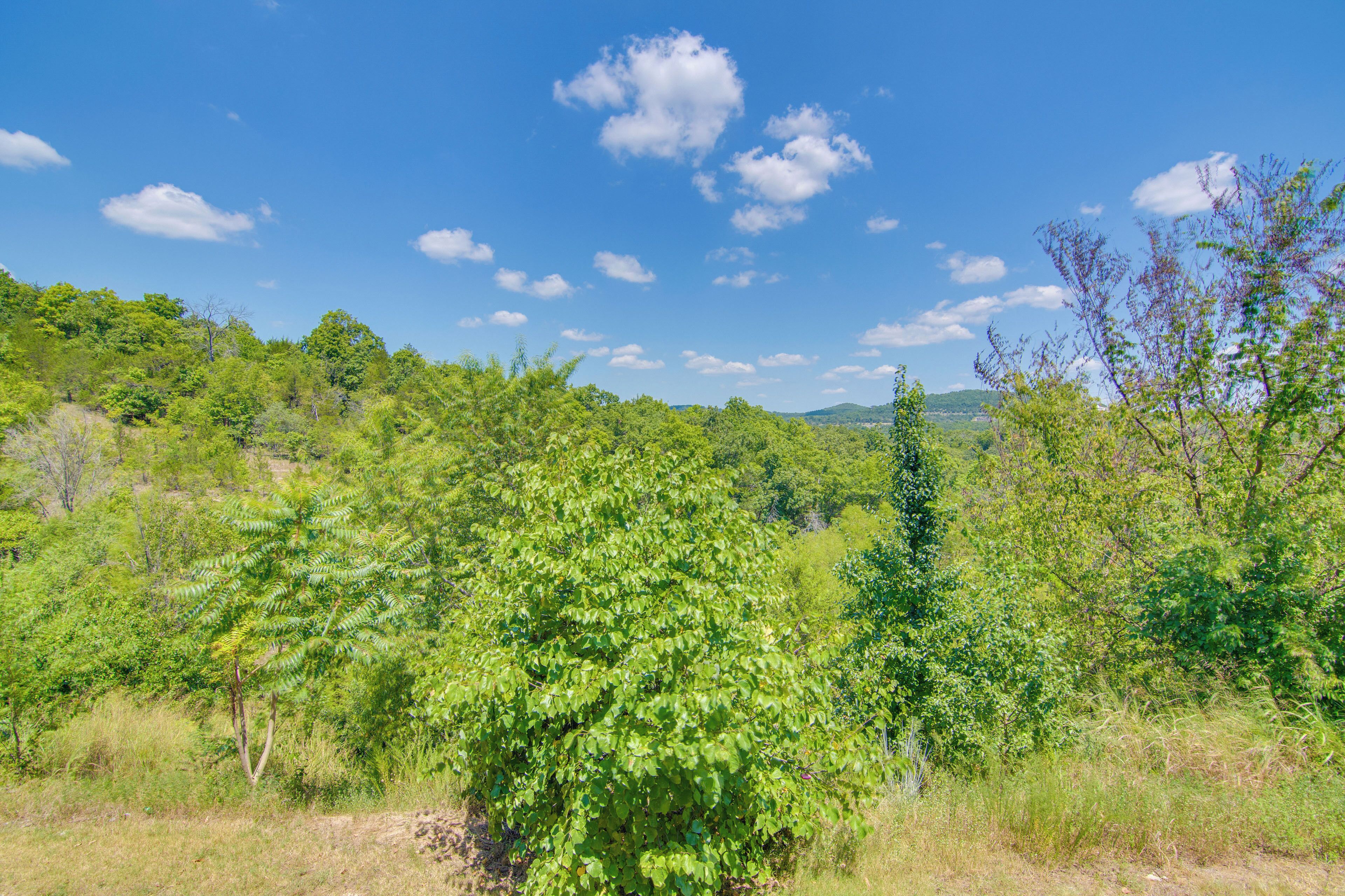 A natural landscape with dense greenery and trees under a clear blue sky.