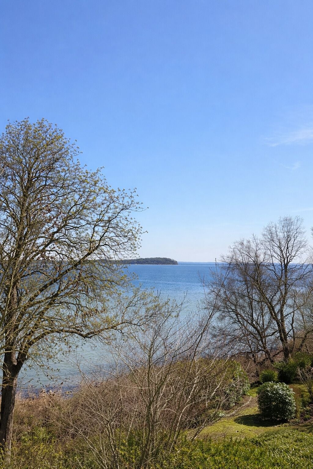 Klarer Blick auf einen See mit einer fernen Insel, umgeben von Bäumen und Sträuchern.