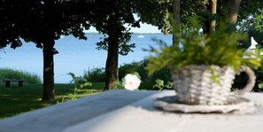 A table with a potted plant and a white flower, set against a backdrop of a lake and trees. - Oceanview Residences Lauterbach Rügen (Putbus)