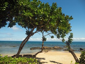Beach - Dicilaba Bungalows, the simple elegance of a waterfront holiday. (Analanjirofo)