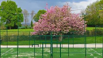 Terrain de sport
