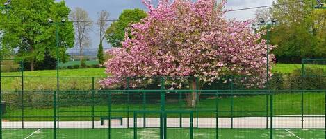 Cancha deportiva