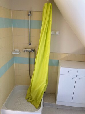 Regadera y papel de baño 