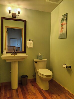 Sèche-cheveux, serviettes fournies, savon, papier toilette