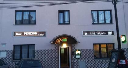 Pezion and apartman near Karlovy Vary